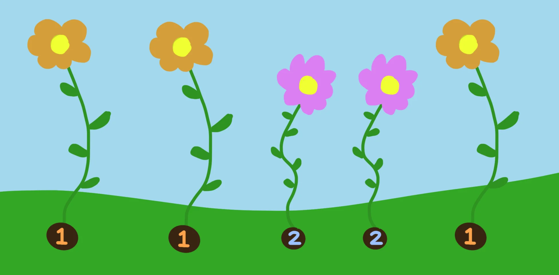 Different flowers grow from different seeds